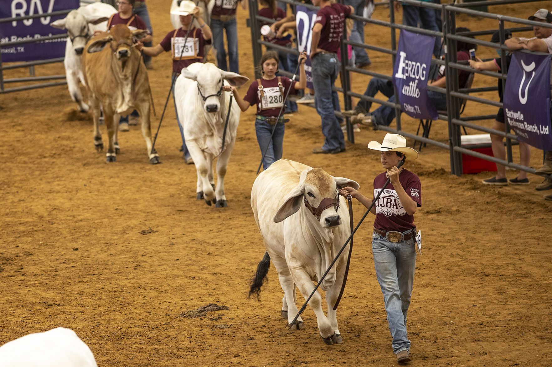 20200703 BRAHMAN MM 01